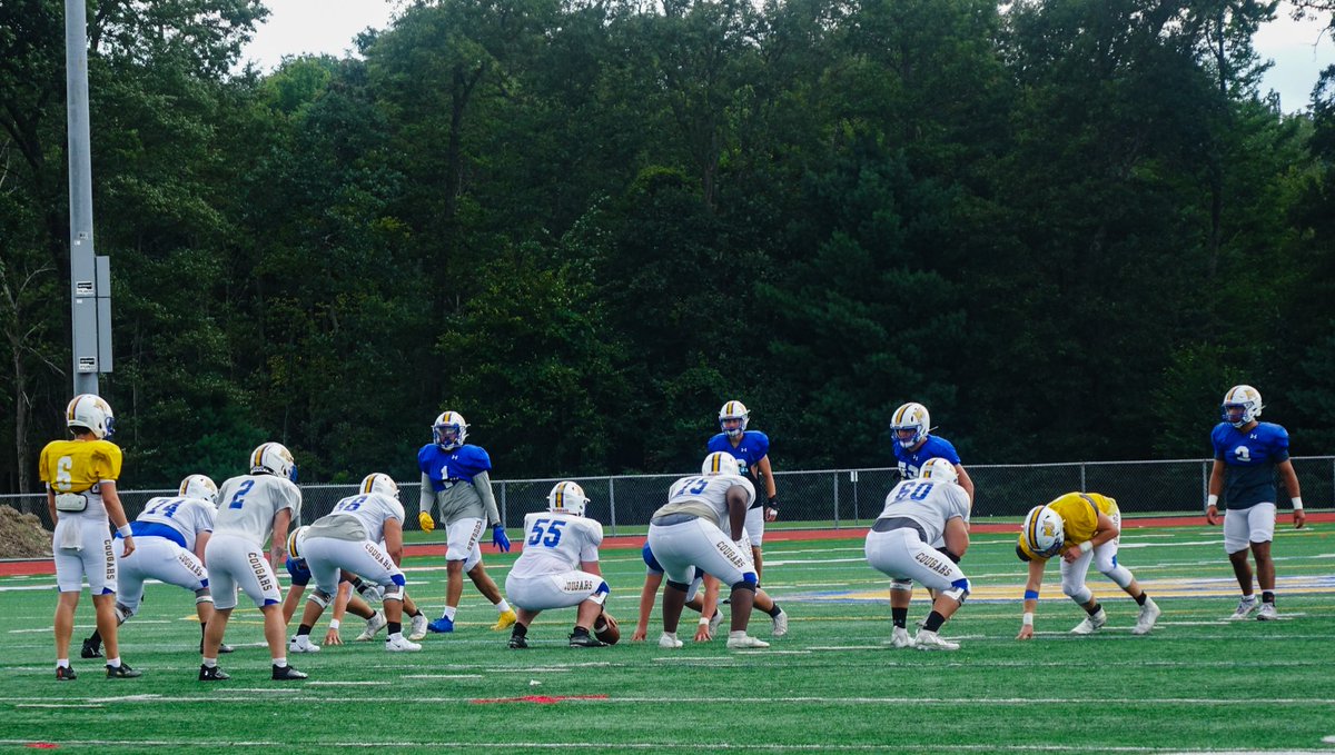 Misericordia Cougars tweet media