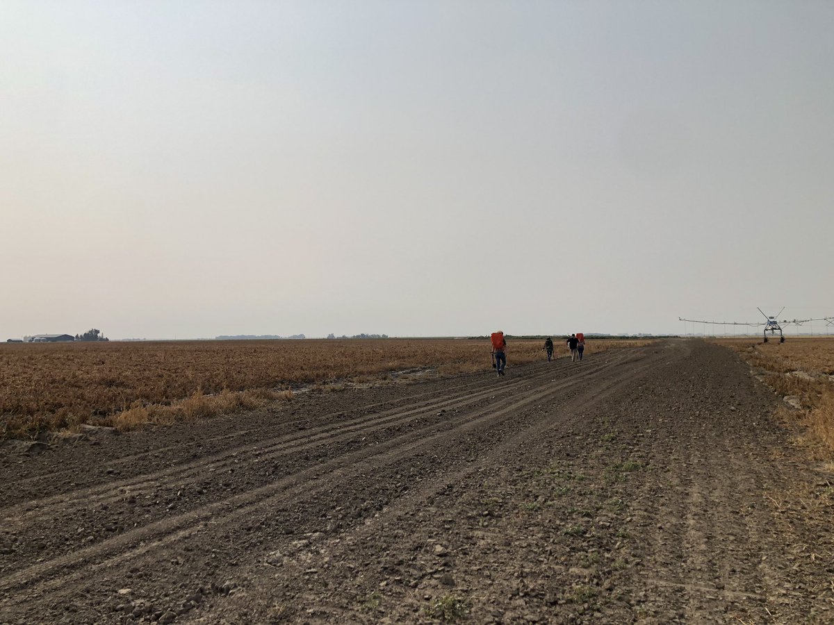 Adam Voss tweet media