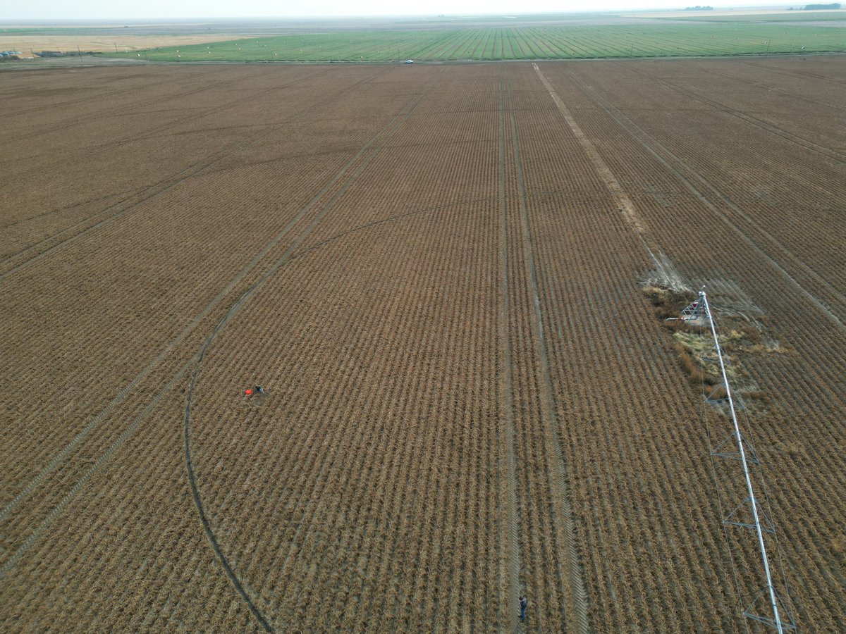 Adam Voss tweet media