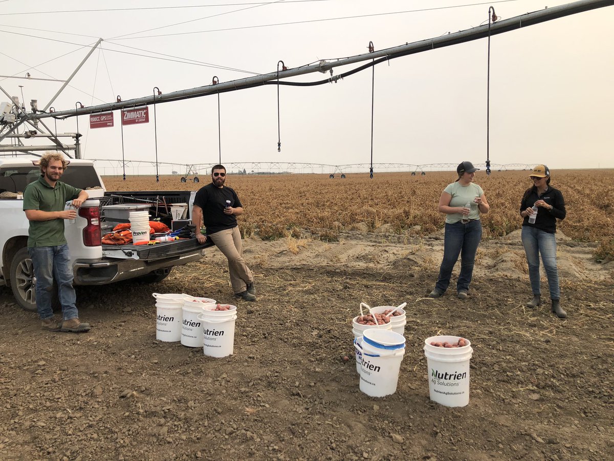 Adam Voss tweet media