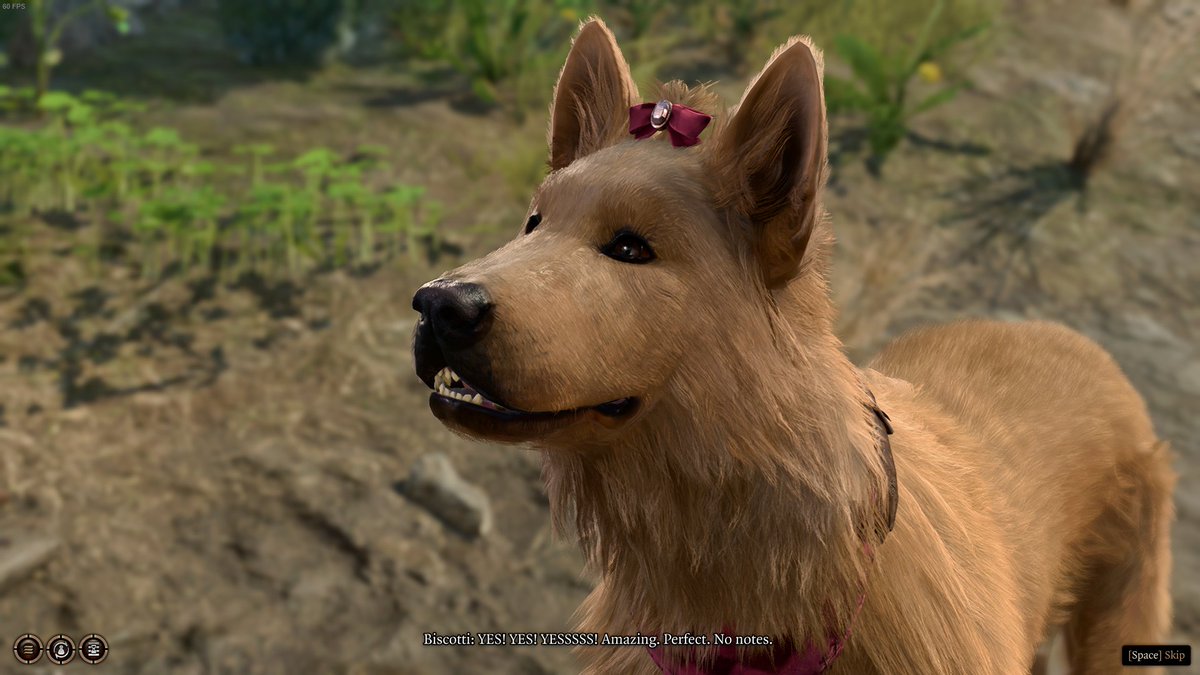 buttflossed's tweet image. Speak With Animals is the best spell in this entire damn game.