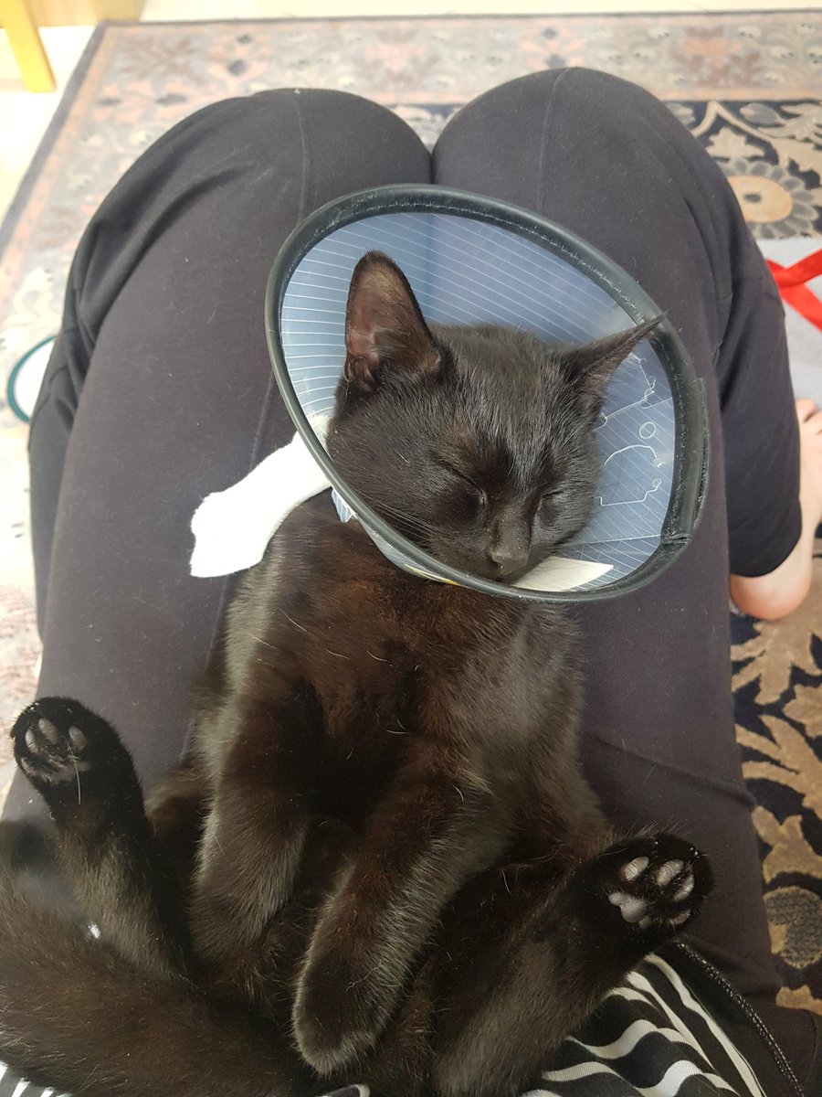 Emer Farrell tweet media