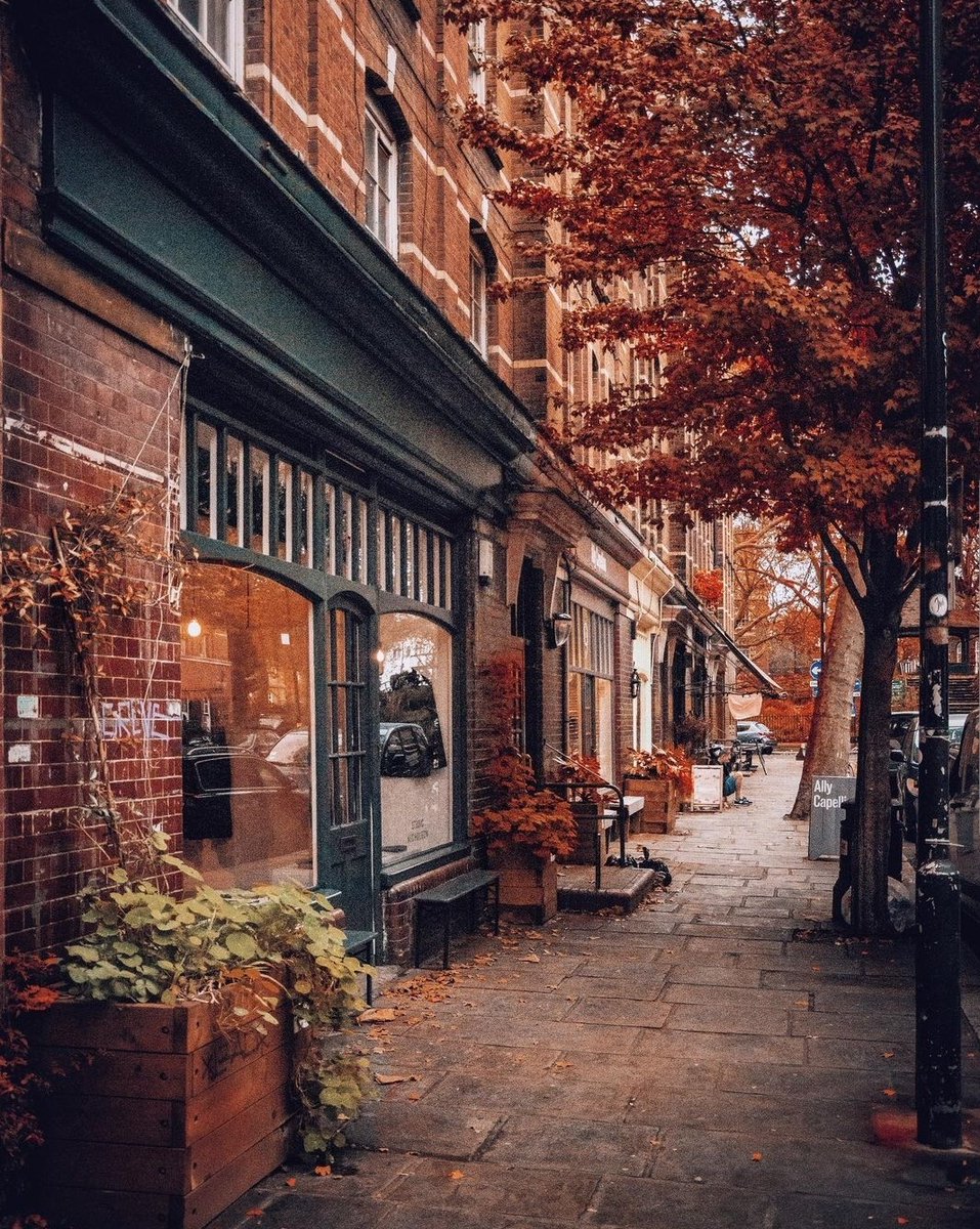 London in autumn 🤎