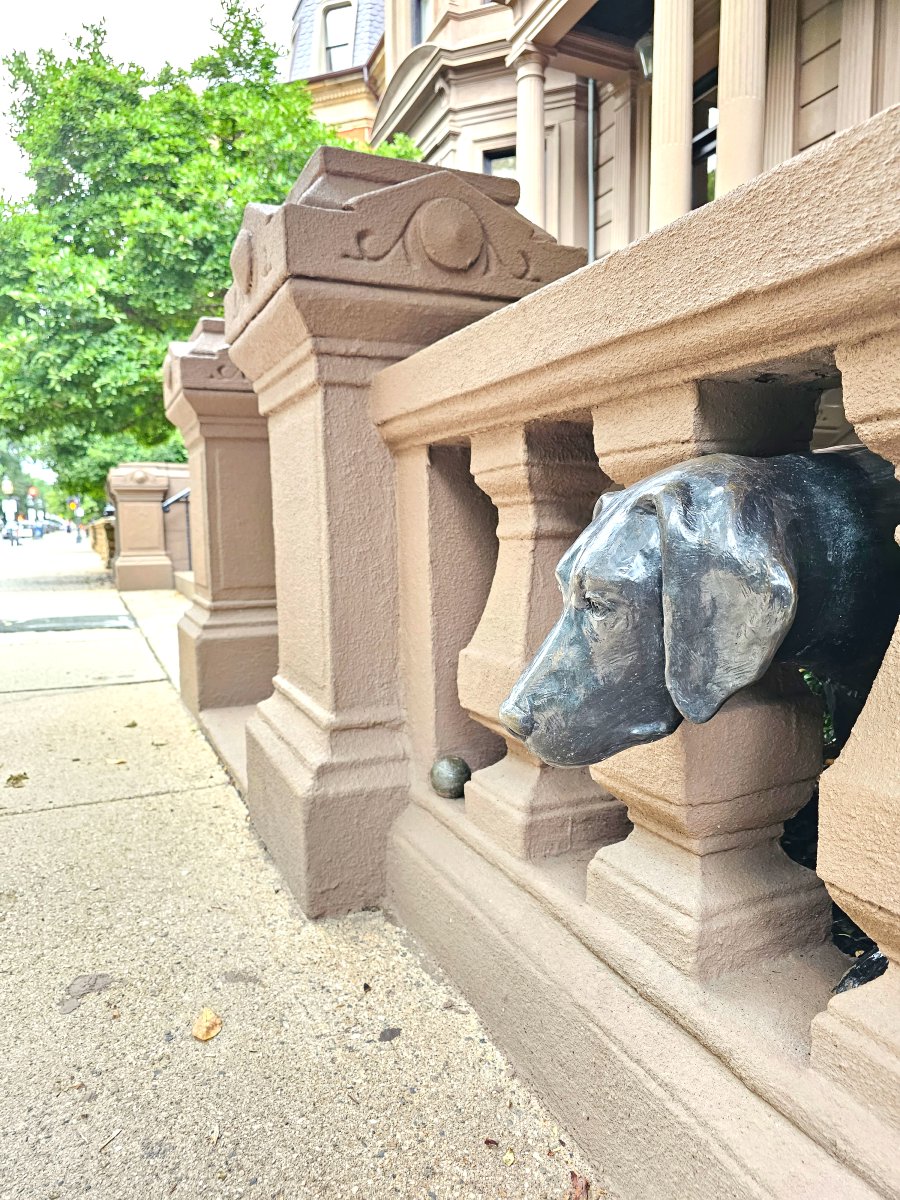 A house on Commonwealth Avenue has a life-size bronze sculpture of their Labrador Retriever, Piper, and her favorite tennis ball outside their brownstone. 💛