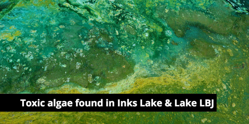 The Lower Colorado River Authority is urging people and pets to avoid algae in #InksLake and #LakeLBJ after toxic levels of cyanobacteria were detected. ow.ly/Jfe850PAAjx