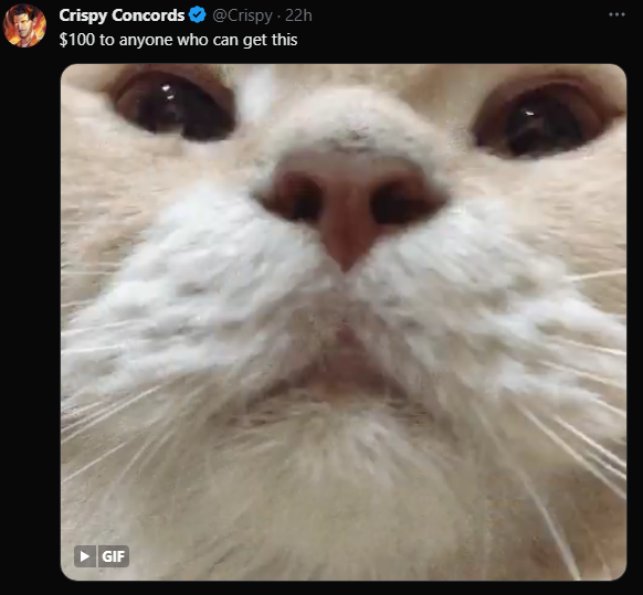 YoN0va's tweet photo. @Crispy https://t.co/eEPS6FSqQ1
