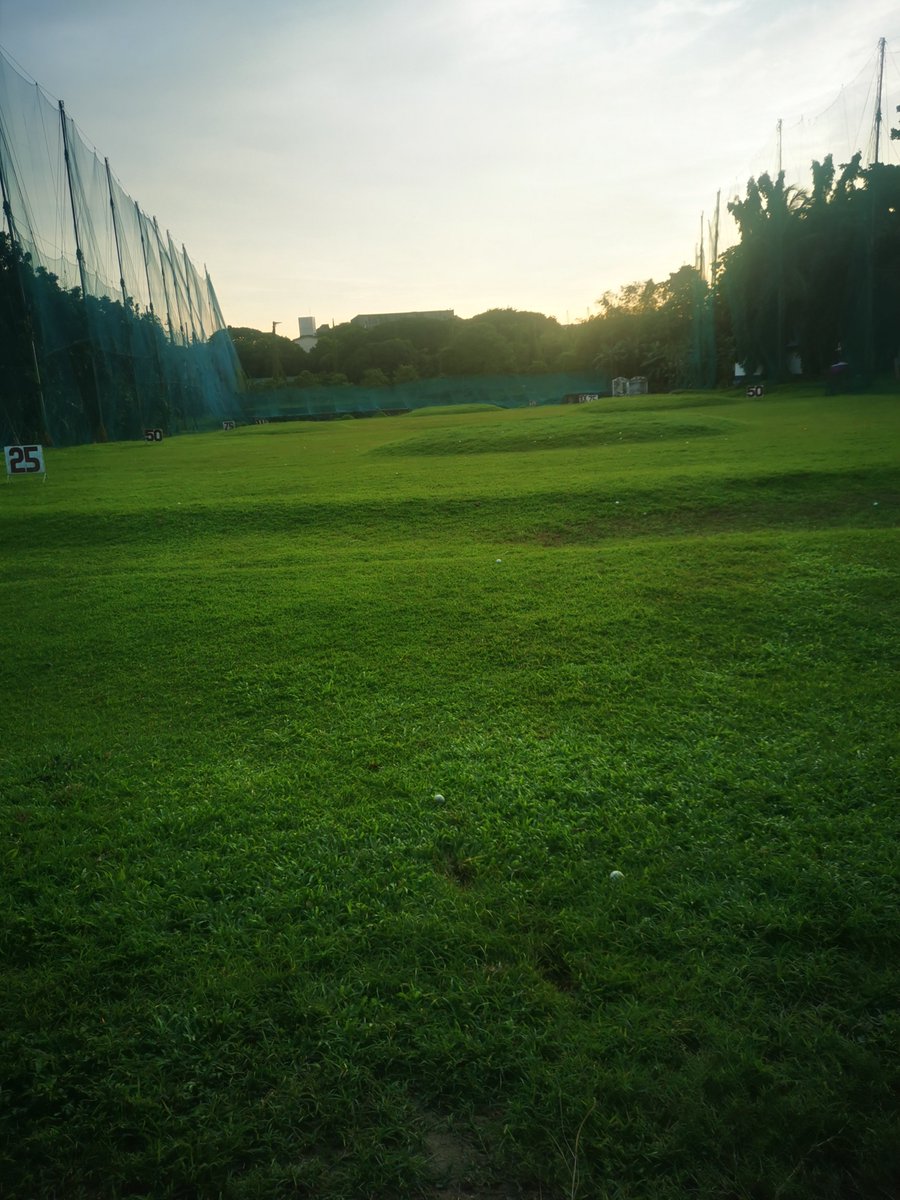 gabriel_alisla's tweet photo. Golf has become my latest obsession. https://t.co/tLUzKcmA59