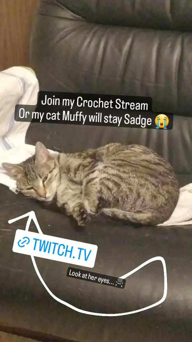 AmigurumiMan's tweet image. Do it for Muffy... ;--;b