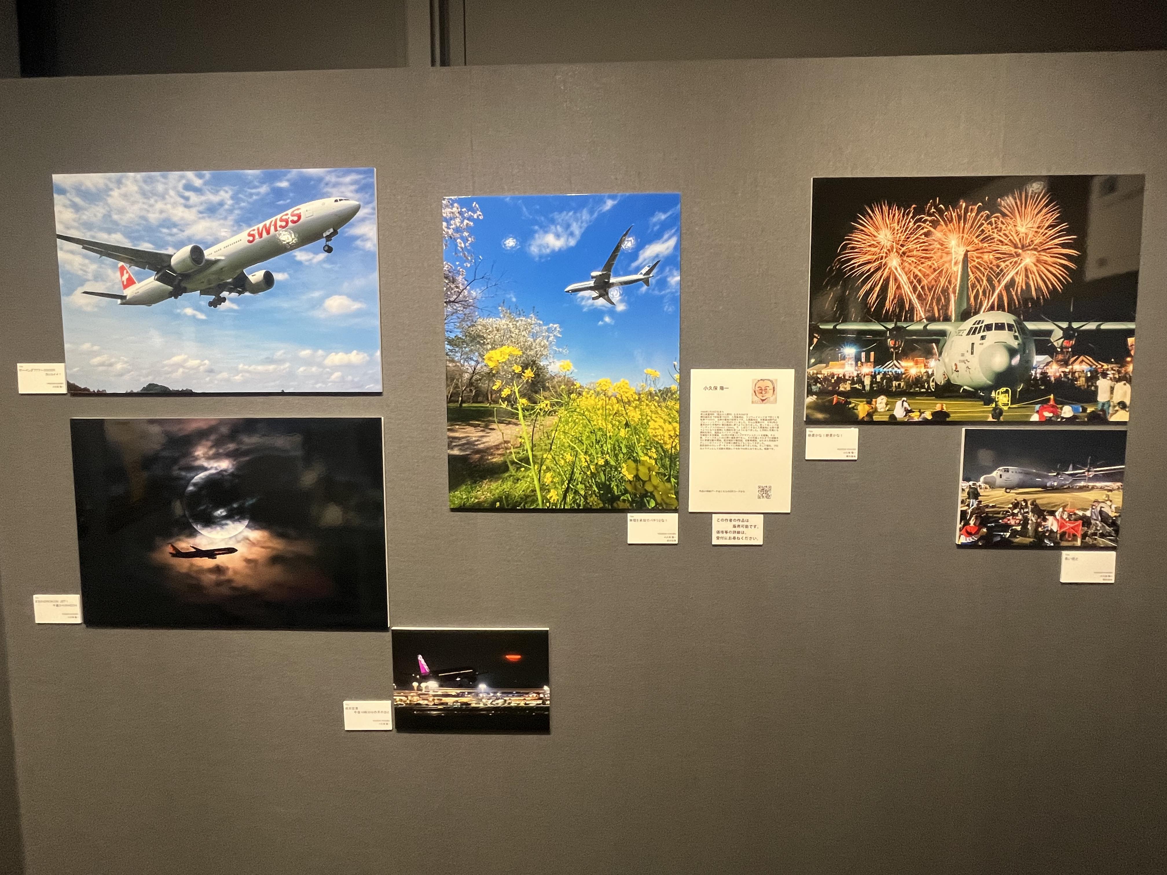 航空写真集 🌸🌸🌸 桜シリーズ第二弾🌸 全て今年の春撮ったものです😊☘️ 2