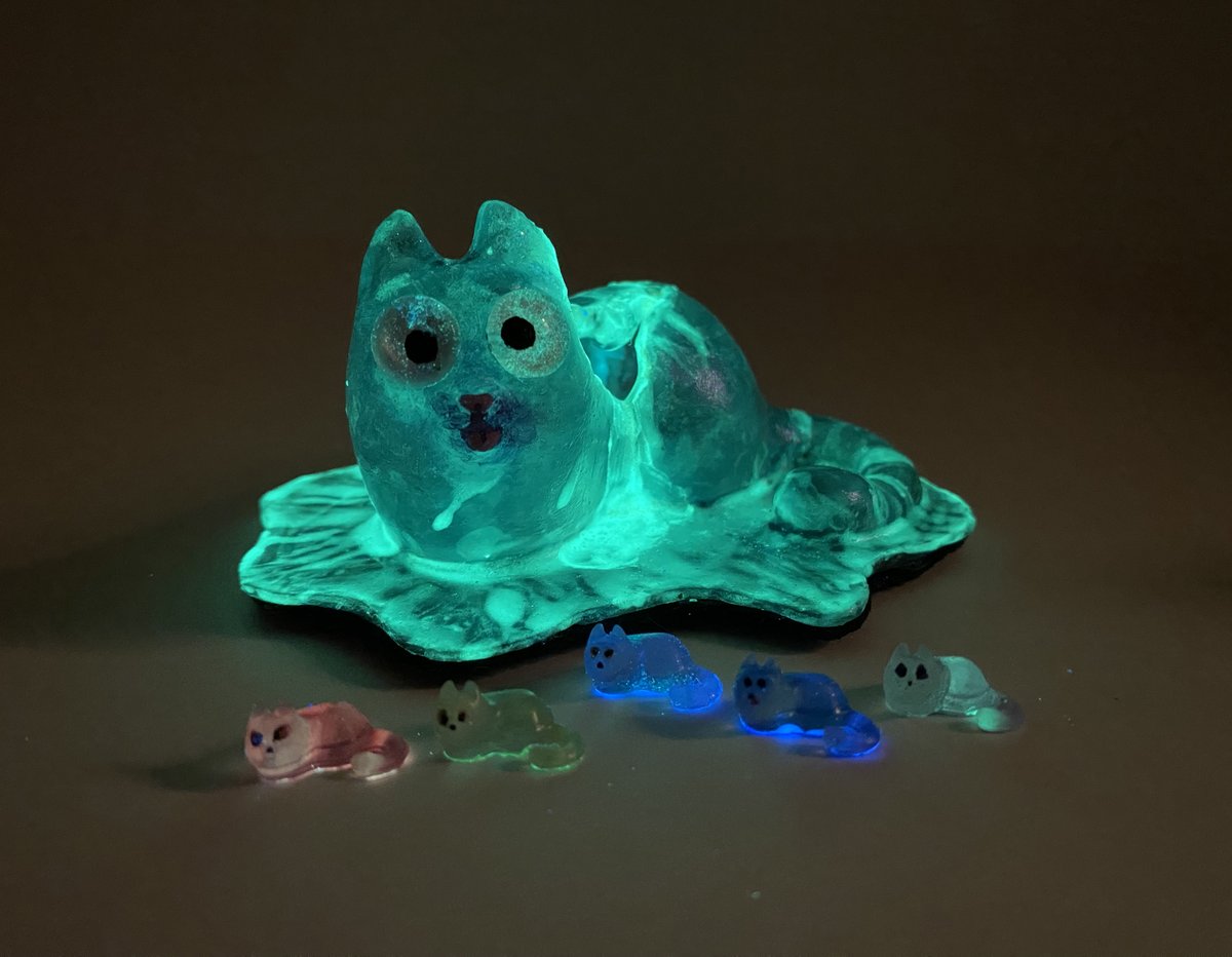 🚀RocketCatRescue🐈 tweet media