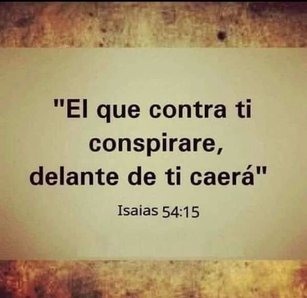 #17Ago Defiende mi causa Señor en el nombre poderoso de Jesucristo Amén y Amén 🙏 #LuluSomosTodos #LuluEsDeTodos #DevuélvanALulu Ángeles terrenales 9 meses Ya!!! De 41 horas #Seguimos tras tus🐾🐾cubiertos con la Sangre de Cristo y de tu mano mi Señor #JusticiaParaNuriPorLulu 🐈‍⬛