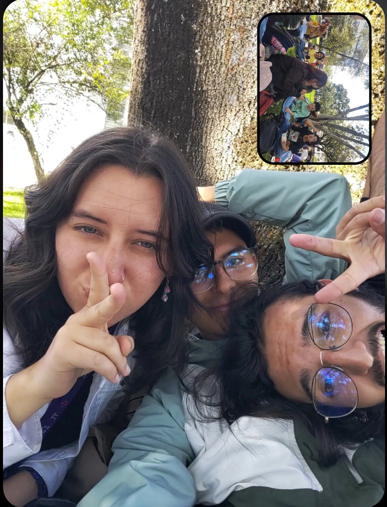 Matta que mata tweet media