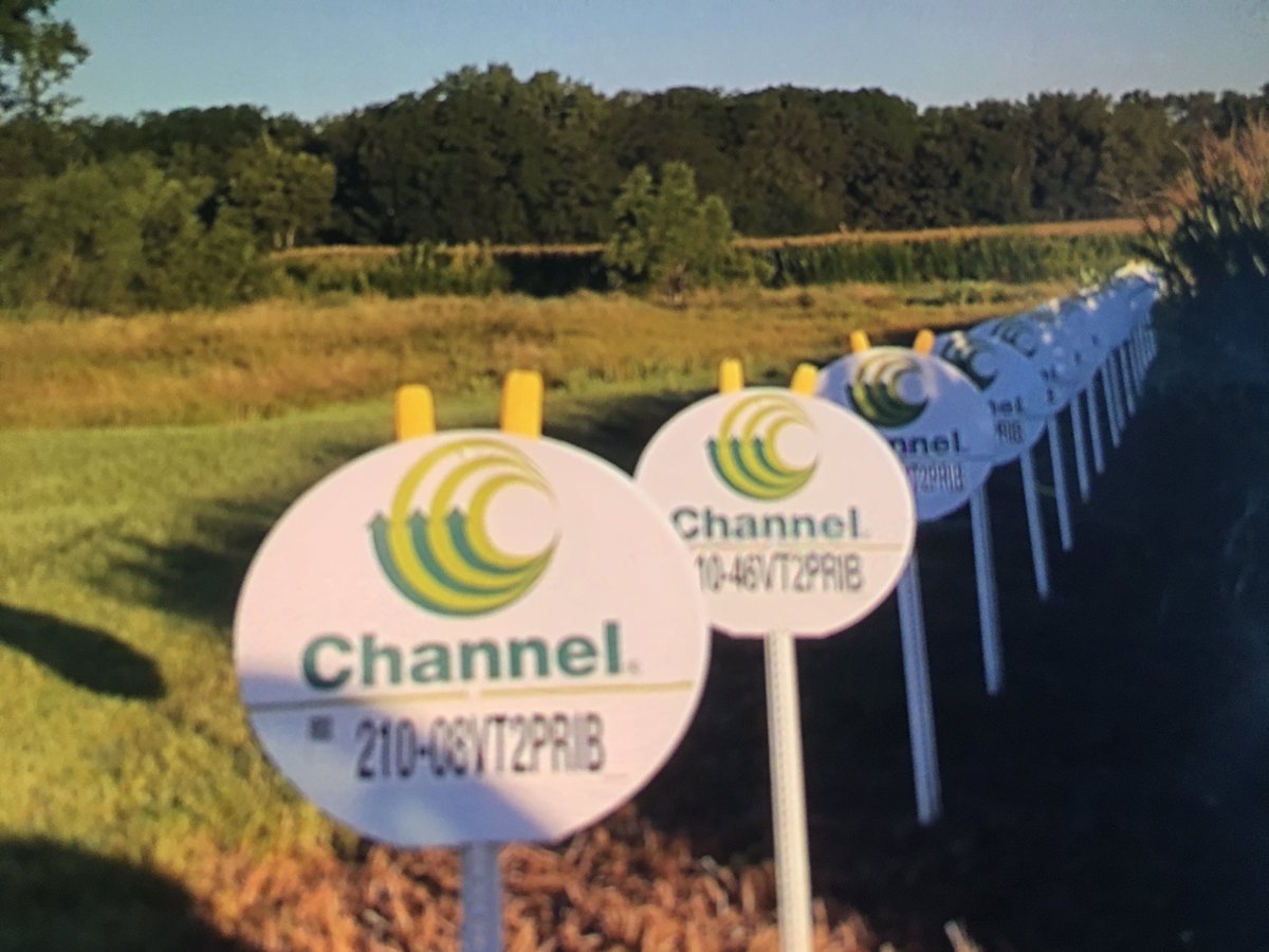 meyer_seed's tweet photo. We had a good turnout for @ChannelSeed Field Day Wednesday with @meyer_seed Ryan Tenbrink FSR Mike Mullins TA discussed short corn and tar spot https://t.co/ezrp1JTDJe