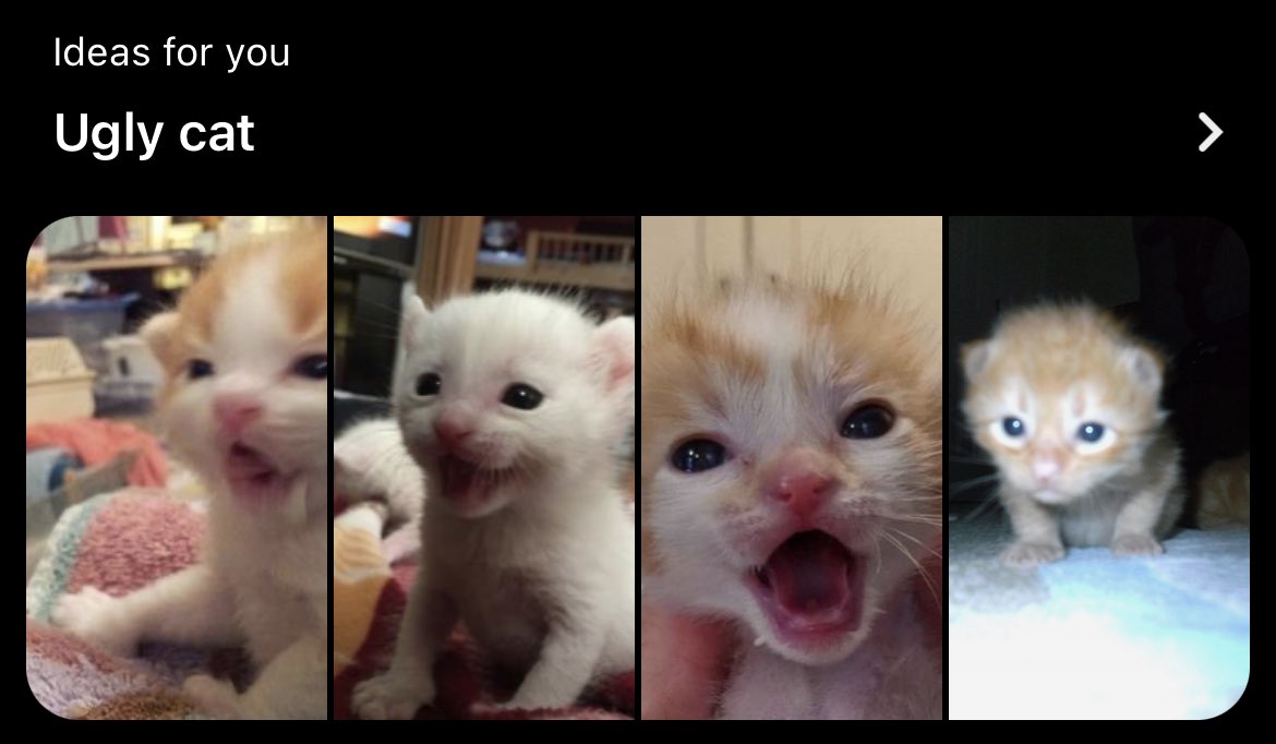 is thiis,,,, aul yuo theink ov mi,,,? jus ugy cate,,,? ouh,,,