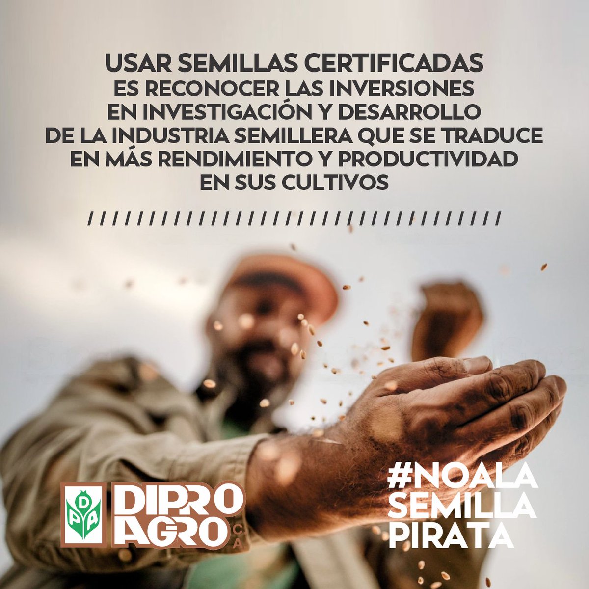 diproagroca's tweet photo. Sembrar semillas de genética certificada, utilizar agroinsumos de calidad y  realizar manejos agronómicos adecuados, son las claves para lograr cultivos con más rendimiento
En 𝗗𝗜𝗣𝗥𝗢𝗔𝗚𝗥𝗢 🌿 tenemos un compromiso con entregar semillas e insumos de primera calidad https://t.co/YyxTlhBeHT