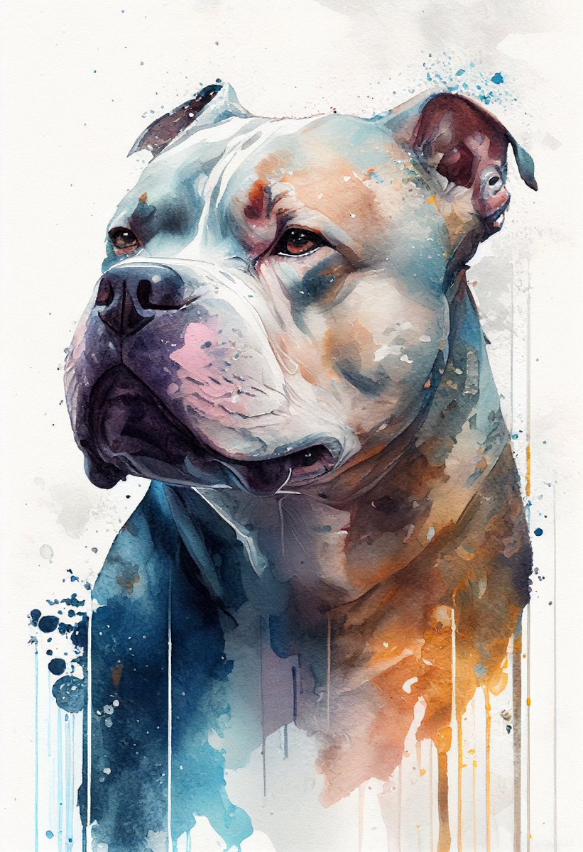 splash_gallery's tweet photo. American Bully watercolour art work https://t.co/aYPiVVFQen #AmericanBully #watercolour #painting #bully #illustration #homedecor #mansbestfriend #contemporary #dog #wallart #lovedogs https://t.co/lcXs0hlwIS