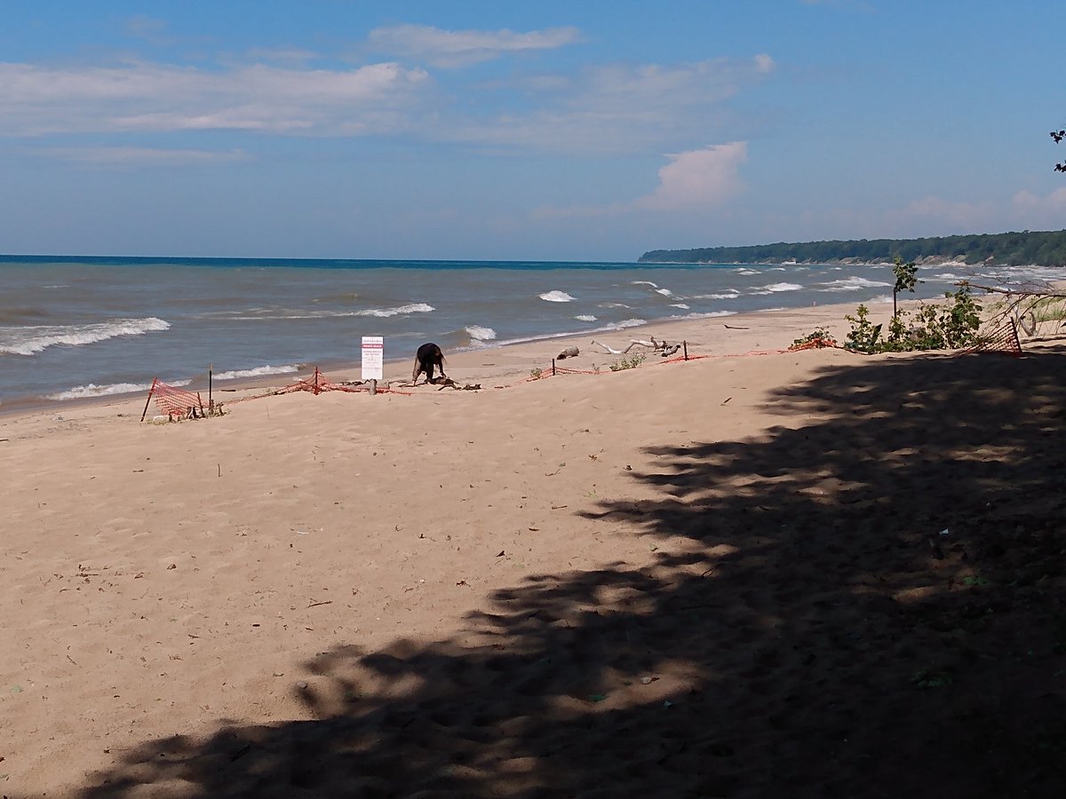 @NWSGrandRapids I took these pictures this afternoon at West Side County Park in Ganges. Surf's Up! #PureMichigan  @Saugatuck @MIBeachtowns