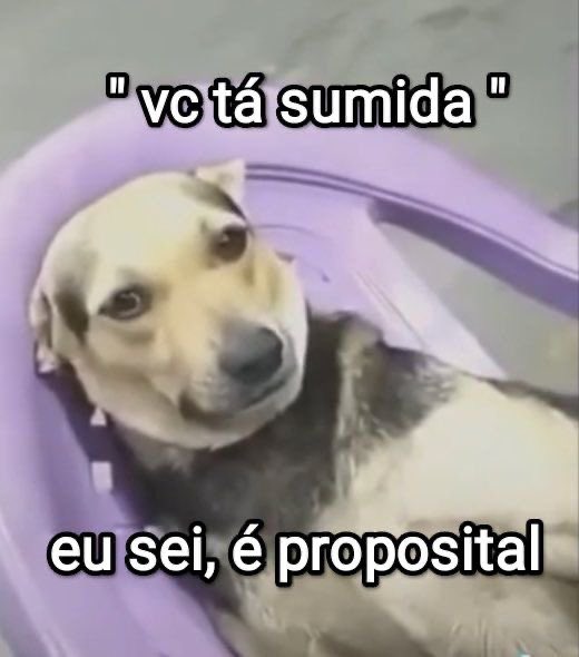 Itspedrito's tweet photo. ainda assim me achou https://t.co/Jjgrb8dPuZ