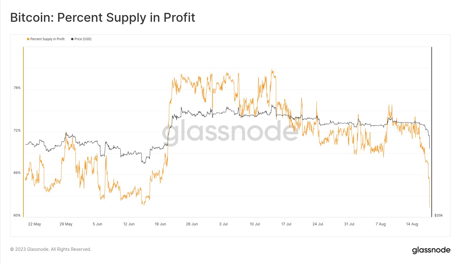  supply bitcoin profit plummet data loss on-chain 