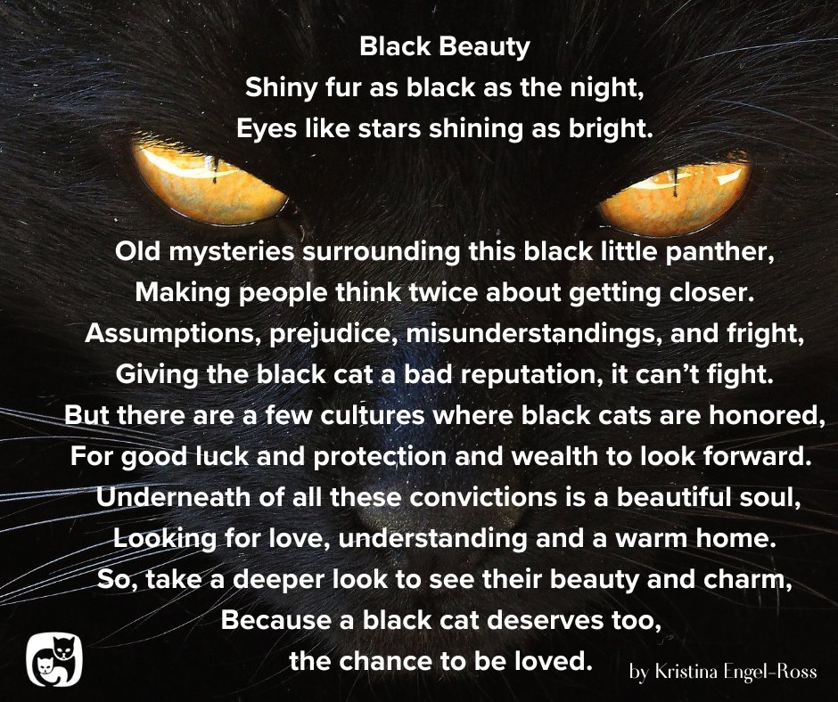 cornellcats's tweet photo. August 17th is National Black Cat Appreciation Day https://t.co/J7TruvL50x