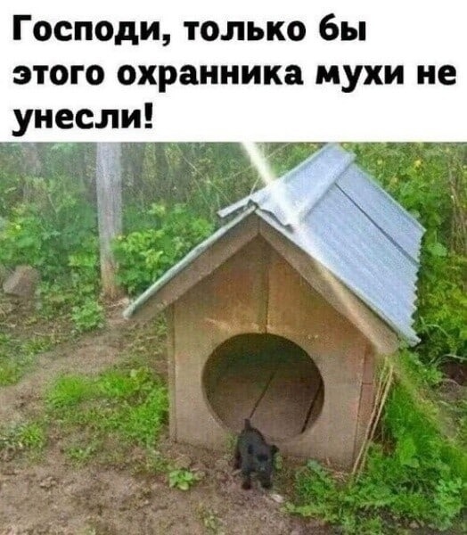 Дом то на вырост 😜