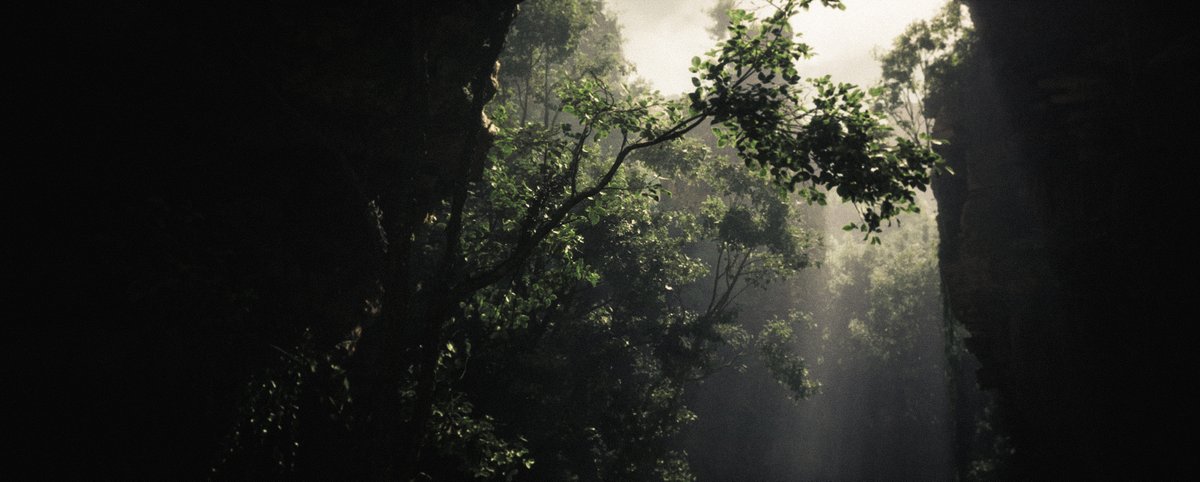 A S H T H O R P tweet media