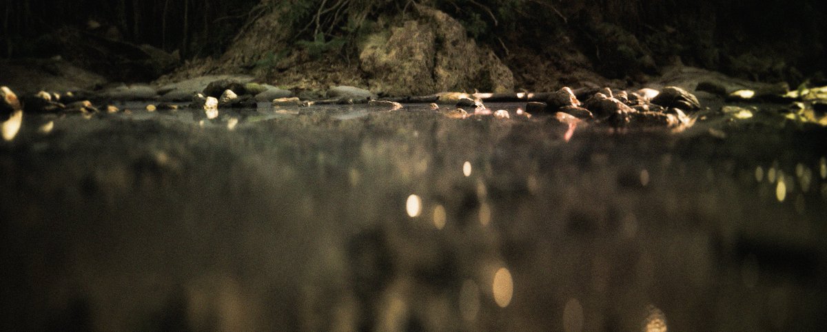 A S H T H O R P tweet media