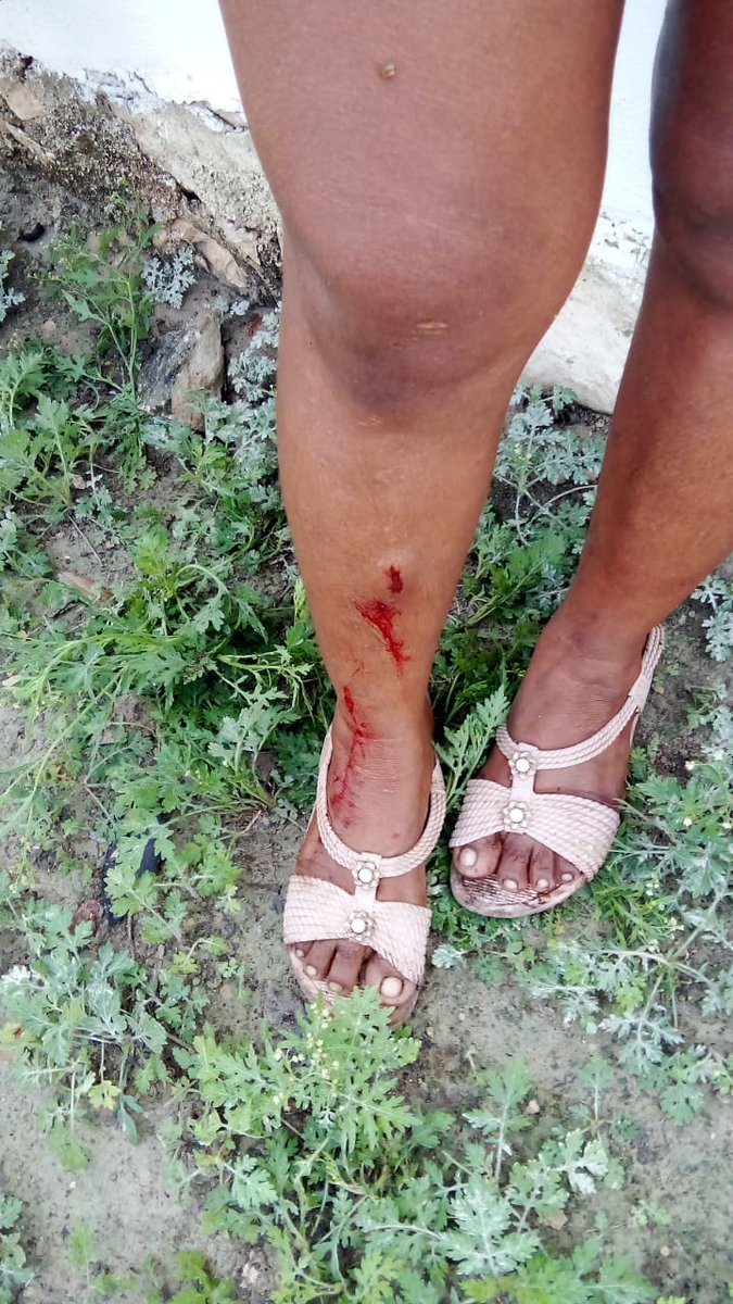disidentemx_'s tweet photo. La Fiscalía General de Yucatán y la Policía Estatal de Yucatán están despojando violentamente las tierras de cultivo de uso común de la comunidad maya de Ixil, muy cercana a Mérida. ¡Ayúdanos a detener esta grave violación de los derechos humanos

https://t.co/xoB3ToDj1i https://t.co/qIQFsz7aVe