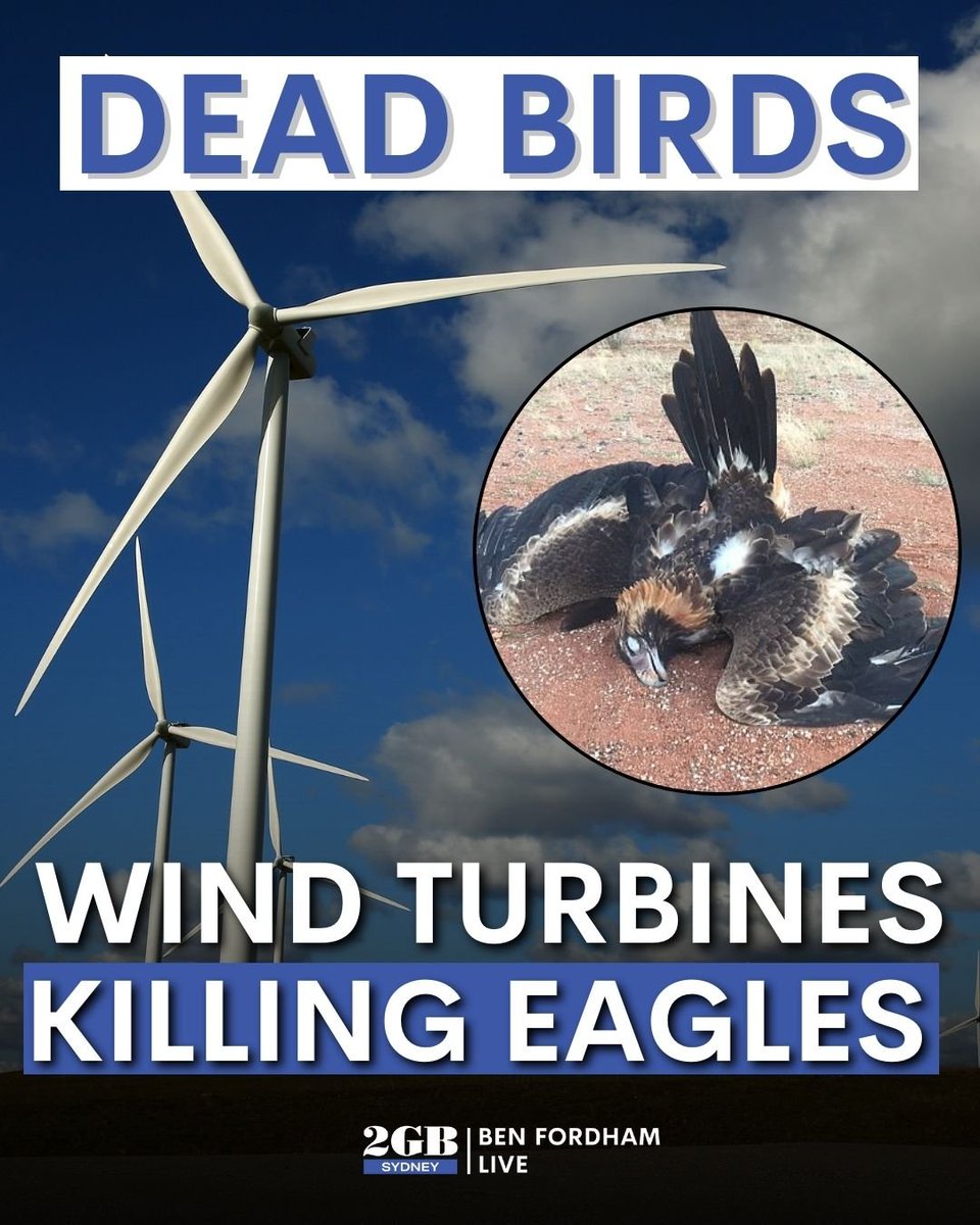 Ben Fordham Live tweet media