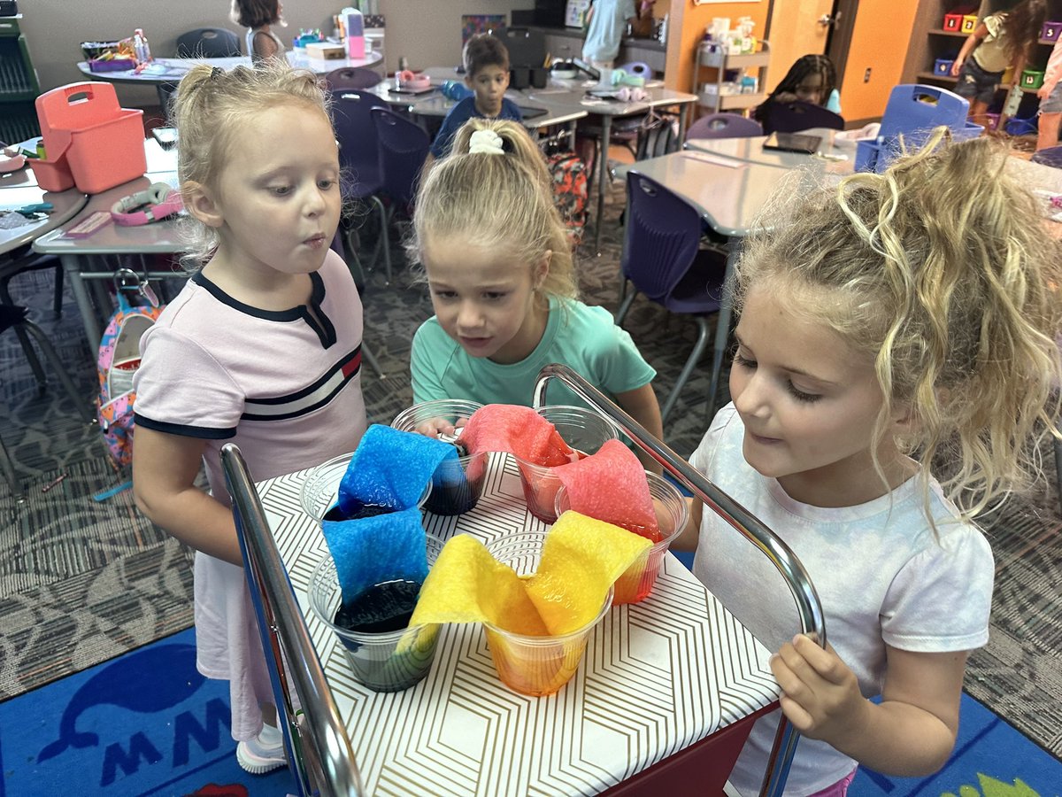 MrsShankTeaches's tweet photo. Splashing into a year of science! We investigated Walking Water and used our observations to make predictions. Students also used their ISNs to document their observations. #VCSscientists @ElemSci https://t.co/1Kq8iUEUGE