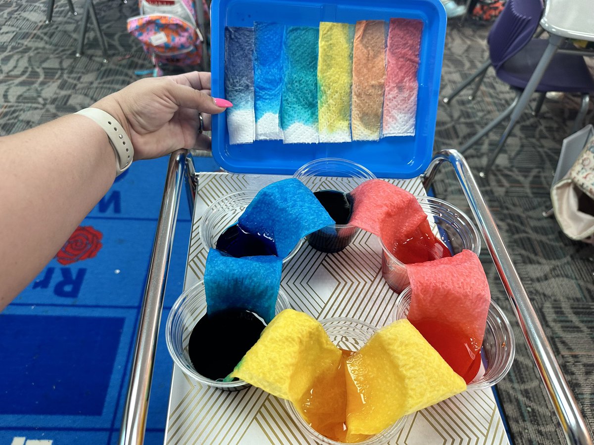 MrsShankTeaches's tweet photo. Splashing into a year of science! We investigated Walking Water and used our observations to make predictions. Students also used their ISNs to document their observations. #VCSscientists @ElemSci https://t.co/1Kq8iUEUGE