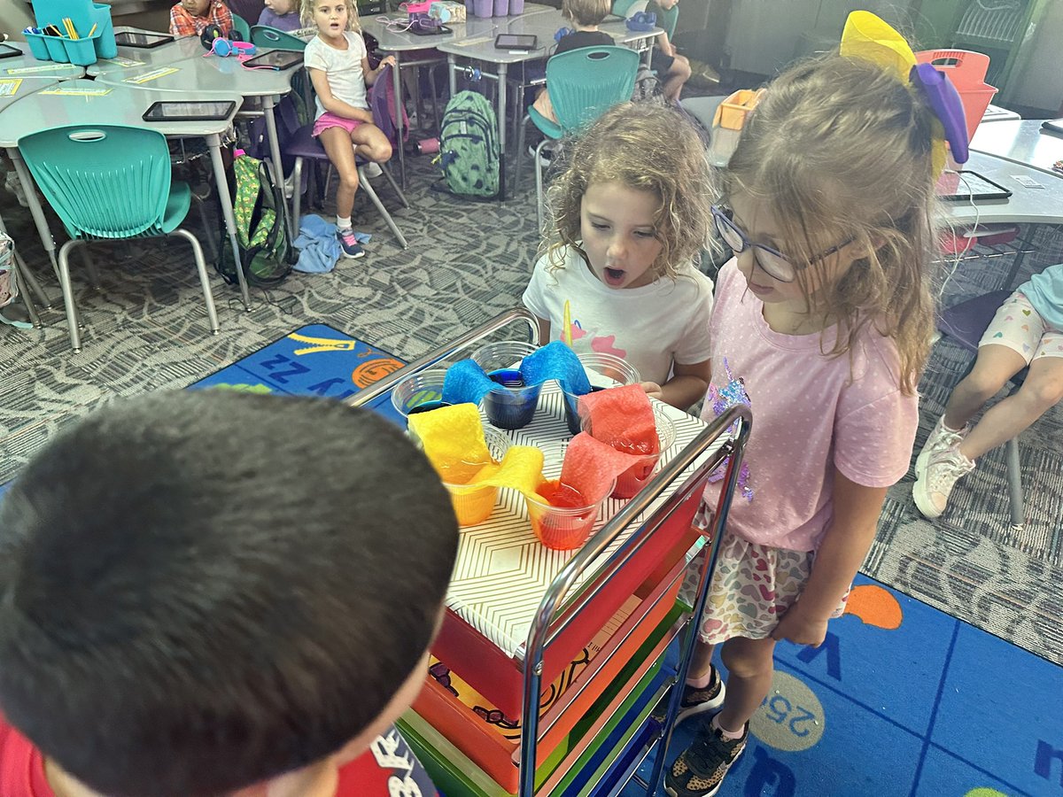 MrsShankTeaches's tweet photo. Splashing into a year of science! We investigated Walking Water and used our observations to make predictions. Students also used their ISNs to document their observations. #VCSscientists @ElemSci https://t.co/1Kq8iUEUGE