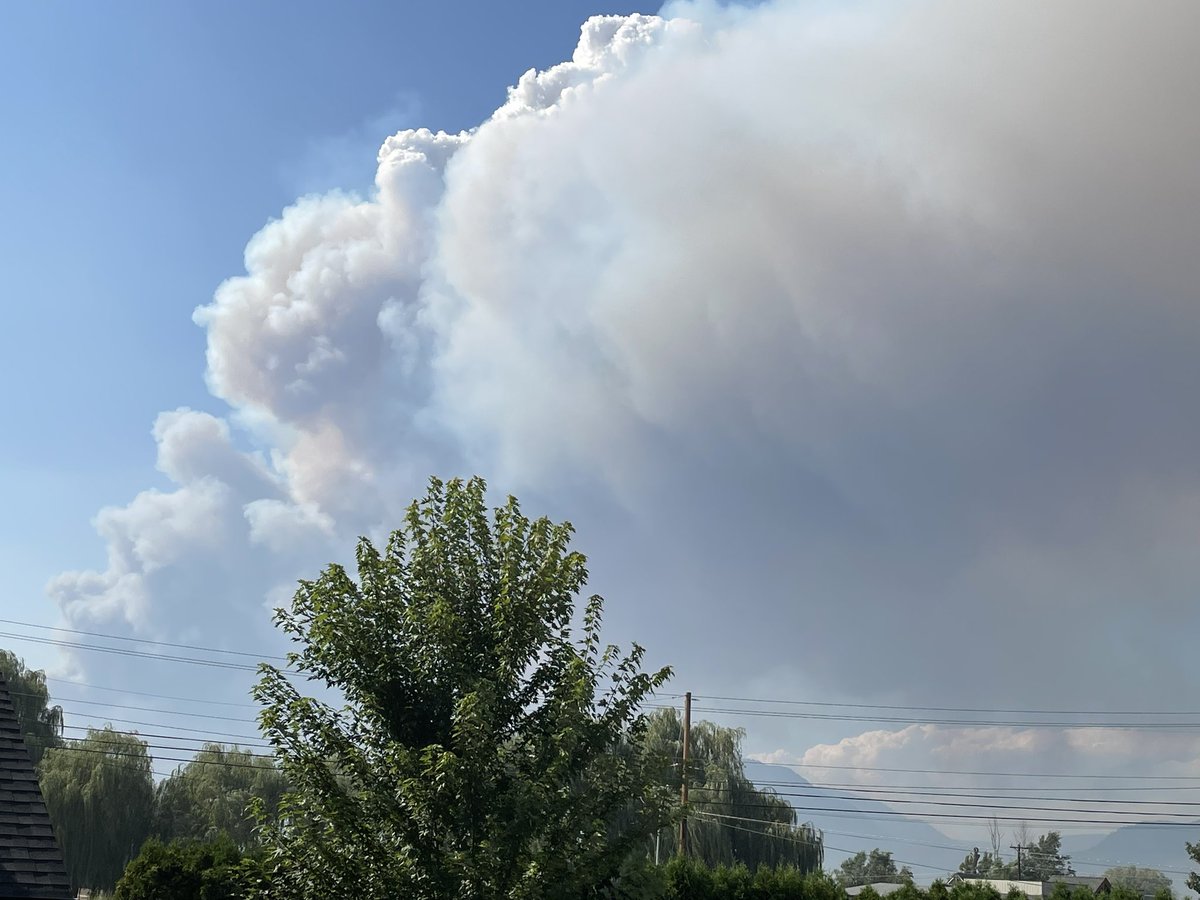 Dennis Miller 🇨🇦🐶 tweet media