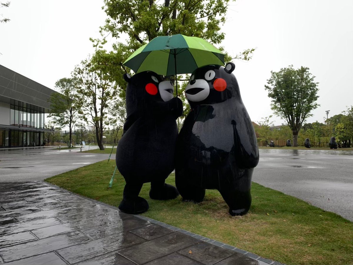 おはくま～！今日は金曜日、あとひとがんばりかモン！