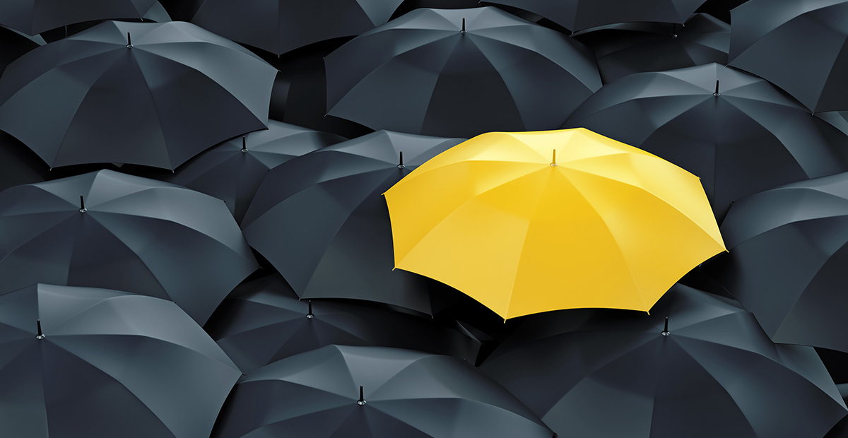 Arbor_Capital's tweet photo. We help you mitigate uncertainty in your investment decisions. #RiskManagement #WealthManagement #FinancialPlanning #ArborCapital

https://t.co/lvVvbFzjNj https://t.co/iSpeY1rlC9