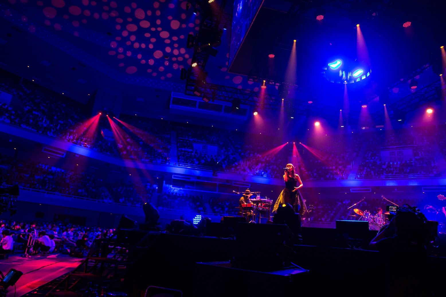 Aimer Live in 武道館 “blanc et noir