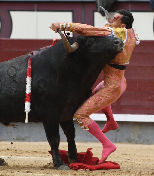 forostoreros's tweet photo. ¡Buenos días! #FelizViernesATodos 
Impresiona la fotografía. Y los toros. Más que el cine ¡mucho más! ¿No os parece?
Javier Ureña en Las Ventas foto de Javier Arroyo
https://t.co/bTOFMtIbS0 https://t.co/qZYn7vsdYD