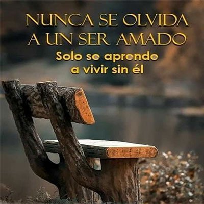 consuelo dorantes (@consuelodorant6) on Twitter photo 