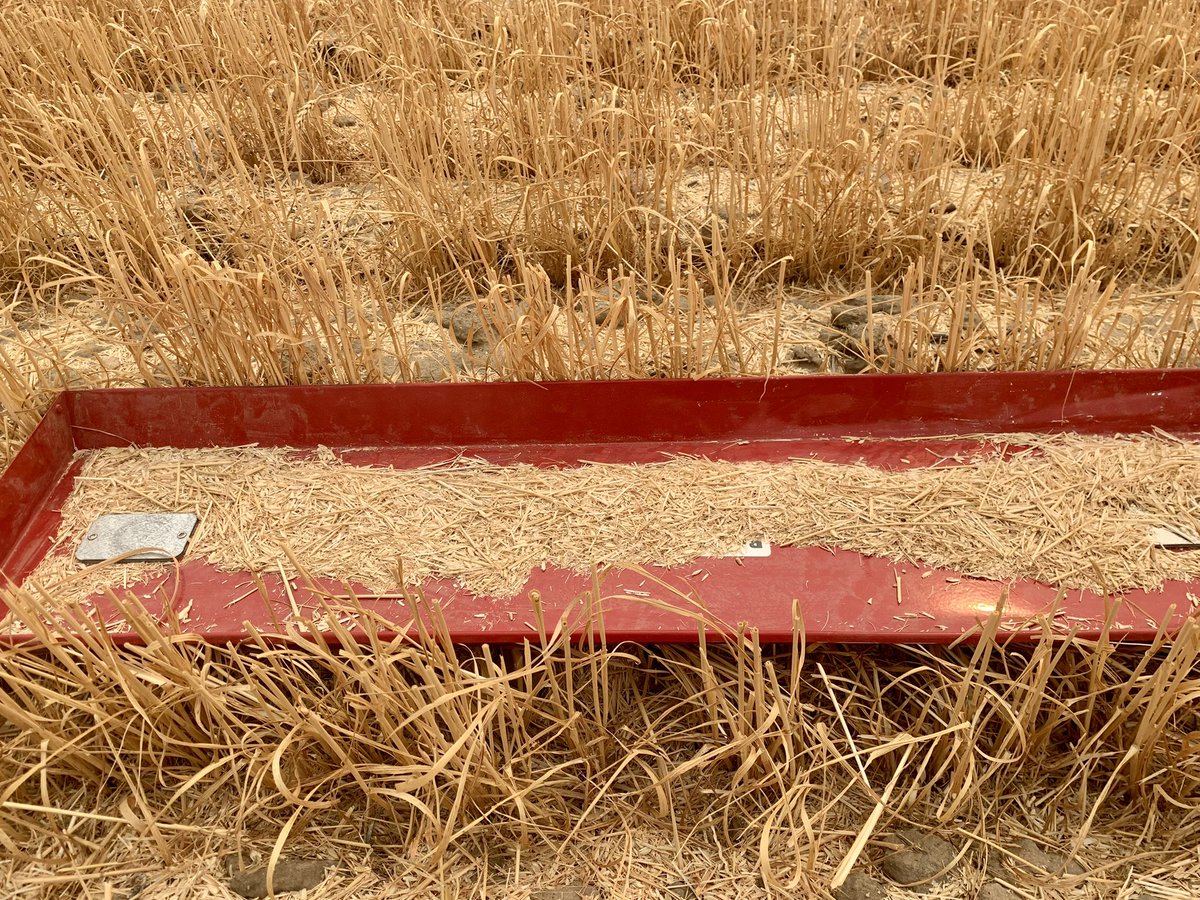 406 Agronomy tweet media