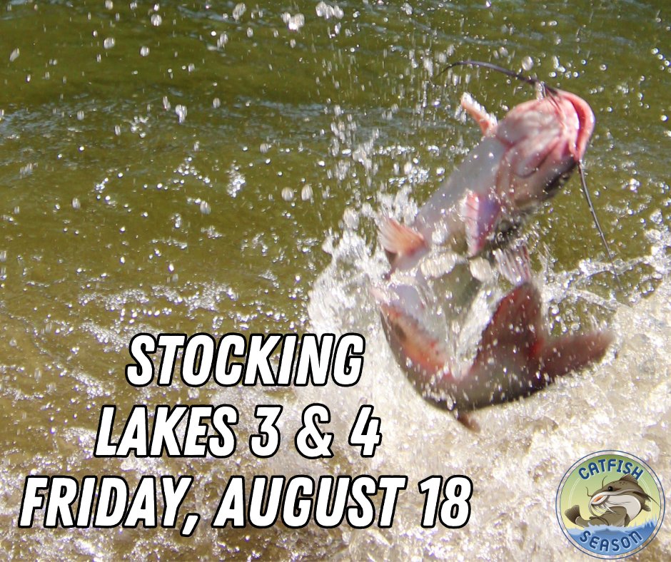 #CatfishSeason #Catfish #Fishing #WeekendPlans #Fish