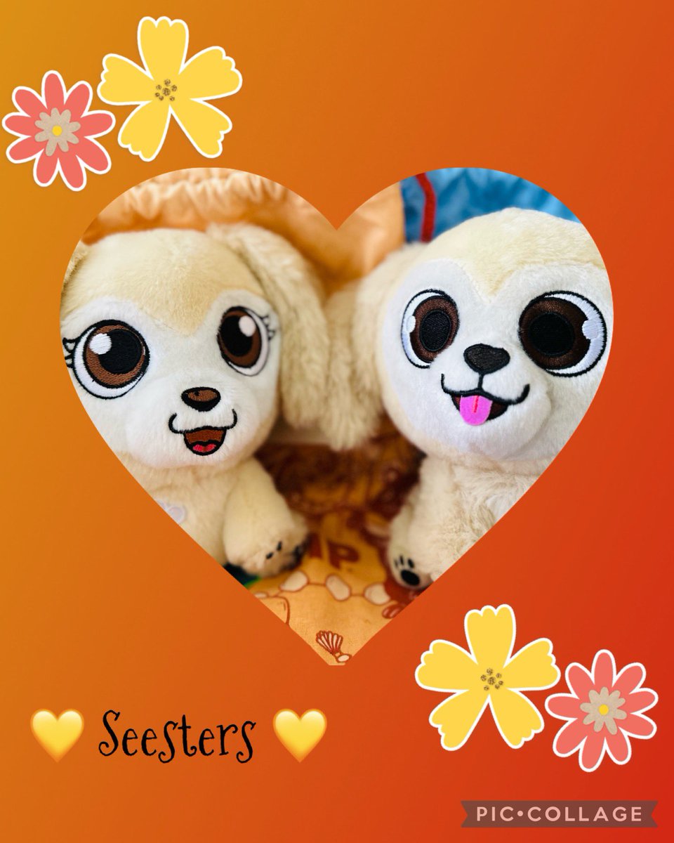 The two best seesters that ever seestered. 👑💛