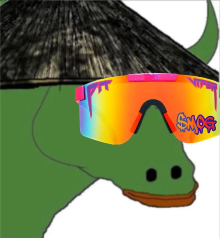 chimpanchz.6529 tweet media