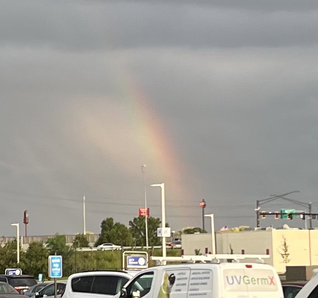 WDW Bus Driver 🏰 ⚪️ 🌳 🎥 🚌 tweet media