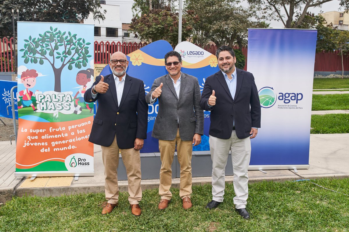 AGAP_PERU's tweet photo. En un gesto de agradecimiento por la hospitalidad brindada por @LegadoOficialPE a las dos primeras ediciones de #AgroFest, y con el objetivo de seguir impulsando el consumo de la palta Hass en el mercado interno, AGAP y #ProHass sembraron un árbol de palta Hass 🥑 en la Villa Deportiva Nacional (VIDENA). 

A través de este gesto, AGAP, ProHass y Legado reafirmaron su compromiso continuo con la promoción de hábitos de alimentación saludable, del deporte y de nuestra agricultura como sector estratégico 🌿.

Sigamos juntos sembrando un Perú Sostenible 🌎🤝.

Nota completa 👉 https://t.co/1FEA5Q3zJs

#AGAP #agricultura #PROHASS #Legado #Donaciónverde #peru #sostenible