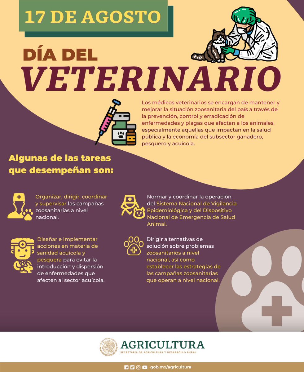 Agricultura_mex's tweet photo. Celebramos a las y los MVZ de México 🇲🇽, guardianes de la salud animal y la seguridad alimentaria. 
Su labor en prevención y control de enfermedades es invaluable. https://t.co/VUdOLMdvFs