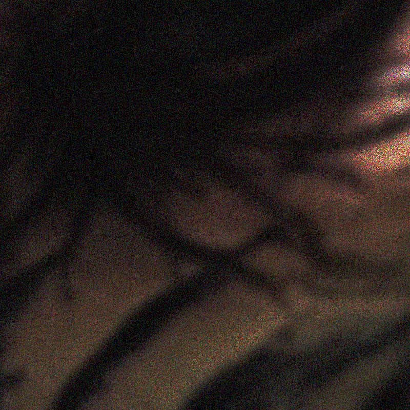 Six Flags Mexico tweet media