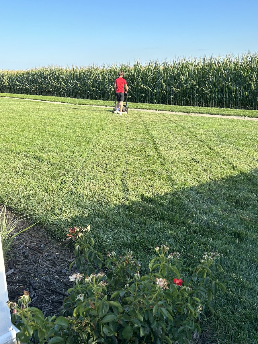 Another <a href="/OutKickTNML/">ThursdayNightMowingLeague</a> league night in the books. Not sure I’ve ever had this thick and luscious grass in August here in the 217, even mowing twice a week!!
Had the protégé step up his stripe game to diagonals tonight!