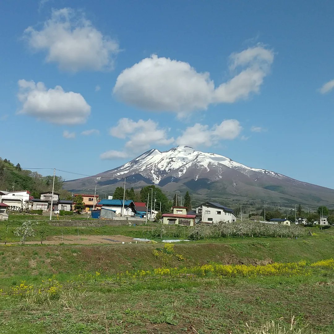 koginsendai's tweet photo. 教室はお盆休みです。この風景どこかで見たことがあると思ったら、前田セツ先生デザインの岩木山。実際の岩木山にも上のほうにぽんぽんと雲がかかっていることがあります。前田先生もよくご覧になっていた光景なのでしょうね。雲が浮かぶ岩木山をいくつかデザインされています。
#こぎん刺し  #岩木山 https://t.co/A0LL24Zcdo