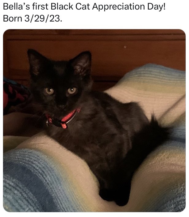 Nancy Johnson tweet media