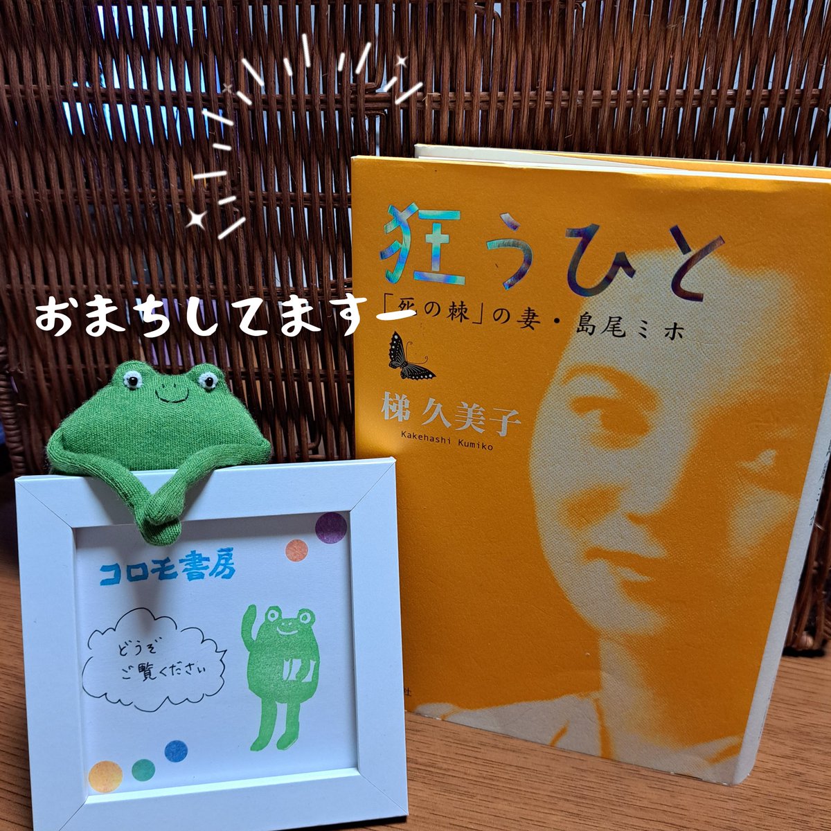 暑くて干からびかけていたら、ついったーはいつの間にかXになり、アカミチフルホンイチは目前に迫っていてビビるコロモ書房です。準備せねばとアワアワしながら読む『狂うひと』は格別ですな！（現実逃避)
というわけで、アカミチフルホンイチ出店します。よろしくお願いします。#アカミチフルホンイチ